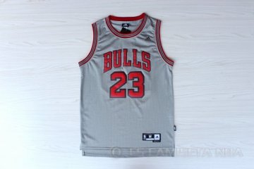 Camiseta Jordan #23 Chicago Bulls Gris