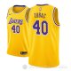 Camiseta Ivica Zubac #40 Los Angeles Lakers Icon 2018-19 Oro