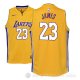 Camiseta Lebron James #23 Los Angeles Lakers Nino Icon 2017-18 Amarillo