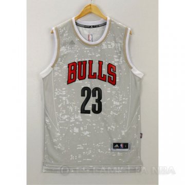 Camiseta Bulls Jordan #23 Luces de la ciudad Gris