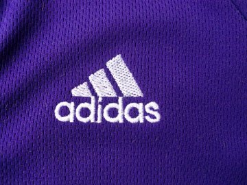 Camiseta World Peace #15 Los Angeles Lakers Violeta