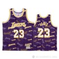 Camiseta Lebron James #23 Los Angeles Lakers Hardwood Classics Tear Up Pack Violeta