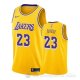 Camiseta Anthony Davis #23 Los Angeles Lakers Icon 2019-20 Amarillo