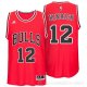 Camiseta Hinrich #12 Chicago Bulls Rojo
