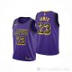 Camiseta LeBron James #23 Los Angeles Lakers Nino Ciudad 2019-20 Violeta