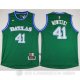 Camiseta Nowitzik #41 Dallas Mavericks Verde