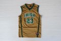 Camiseta James #23 St. Vincent-St. Mary High School Irish NCAA Dorado