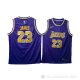 Camiseta Lebron James #23 Los Angeles Lakers Violeta