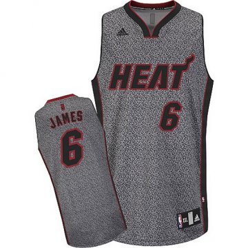 Camiseta James #23 Cavaliers 2013 Moda Estatica Gris