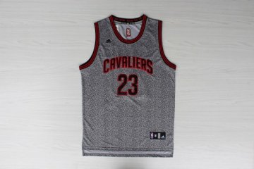 Camiseta James #23 Cavaliers 2013 Moda Estatica Gris