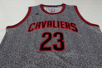 Camiseta James #23 Cavaliers 2013 Moda Estatica Gris