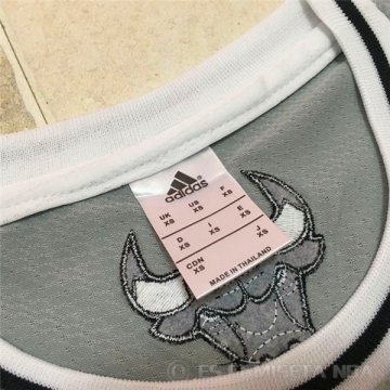 Camiseta Jordan #23 Chicago Bulls Nino Gris