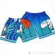 Pantalone Charlotte Hornets Mitchell & Ness Big Face Verde