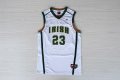 Camiseta James #23 St. Vincent-St. Mary High School Irish NCAA Blanco