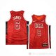 Camiseta LeBron James #6 USA 2024 Juegos Olimpicos Rojo