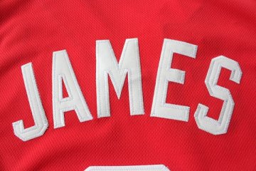 Camiseta James #6 Heats 2012 Navidad Rojo