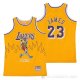 Camiseta LeBron James NO 23 Hardwood Classics Skull Edition Amarillo