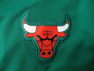 Camiseta Rose #1 Chicago Bulls Verde