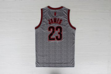 Camiseta James #23 Cavaliers 2013 Moda Estatica Gris