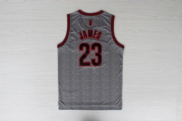 Camiseta James #23 Cavaliers 2013 Moda Estatica Gris