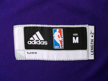 Camiseta World Peace #15 Los Angeles Lakers Violeta