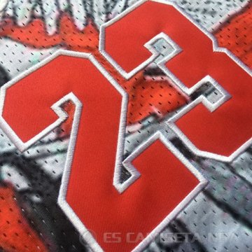 Camiseta Michael Jordan #23 Commemorative Gris