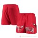 Pantalone Chicago Bulls Pro Standard Mesh Capsule Rojo